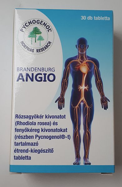 BRANDENBURG ANGIO.jpg